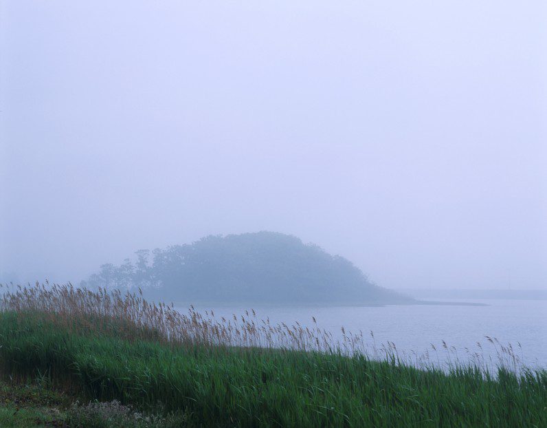 Farm Pond, Fog, Alison Shaw