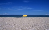 State-Beach_Umbrella