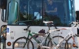 Vineyard Transit Authority Bus