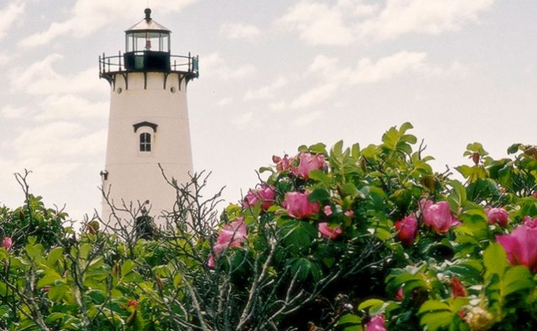 Lighthouse Beach