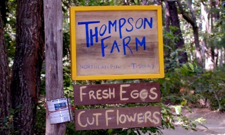Thompson Family Farm