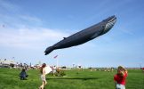 “Whale” kite, 30″ long, owned by Richie Salvo of Saugus, MA.