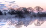 Sweetened Water Pond_Vineyard Colors.jpg