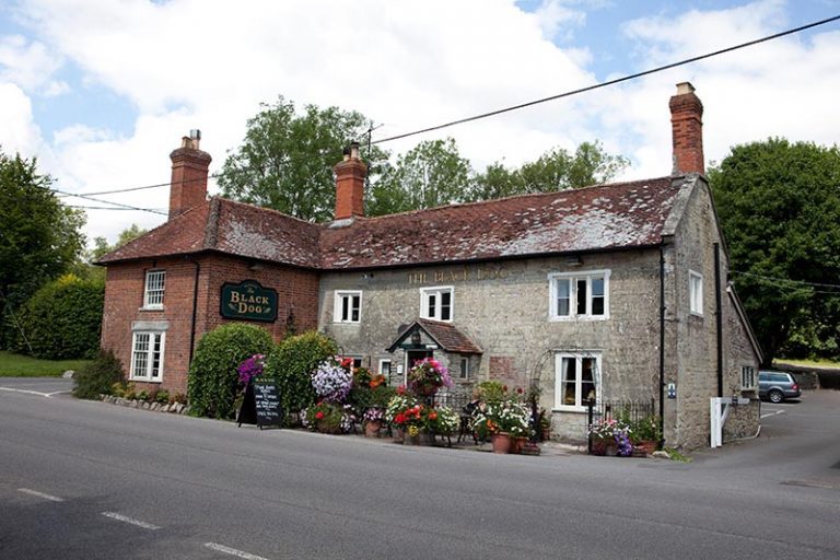 The Vineyard Connection: How do you get to here from the Black Dog Tavern in Chilmark, England?