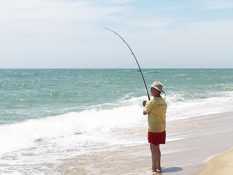 Bluefish keep Vineyard rods bouncing