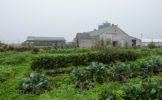 farm-institute-friendship-garden.jpg
