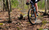 mountain-biking-louis-hall-2.jpg