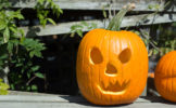 pumpkin-jack-o-lantern.jpg